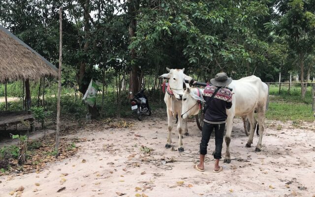 Madam Sokha Homesteading