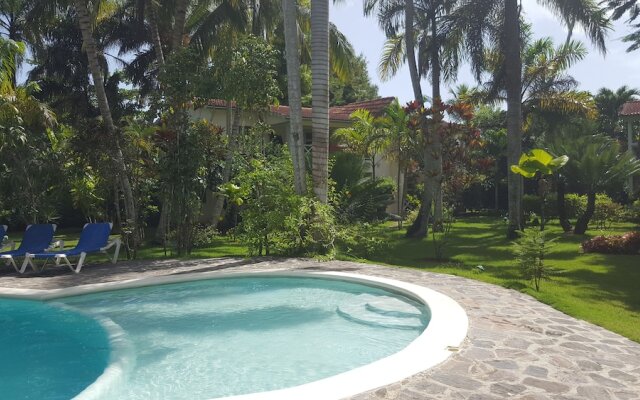 Oasis Tropical