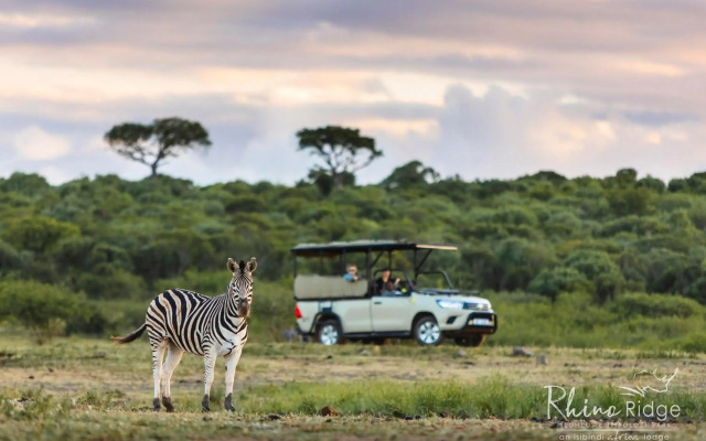 Rhino Ridge Safari Lodge