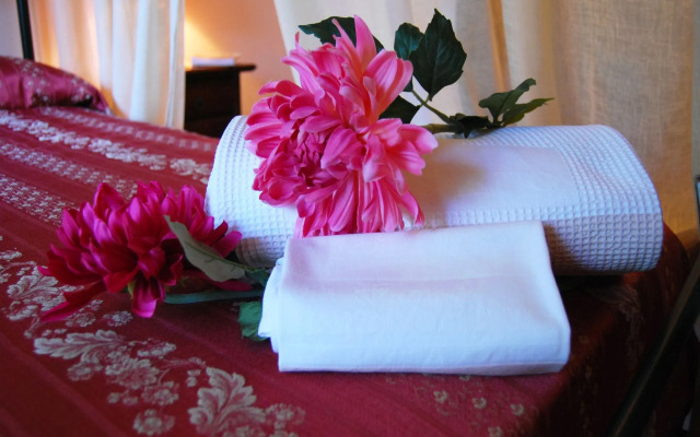 Fattoria il Borghetto