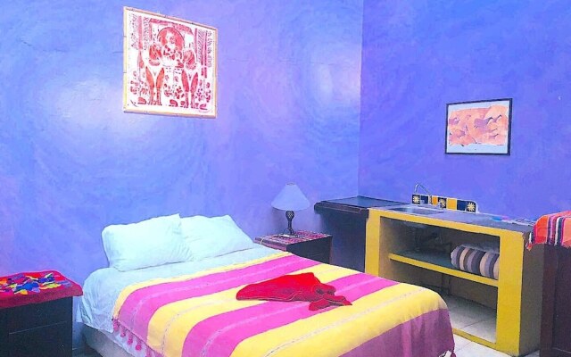 Amazing House of View