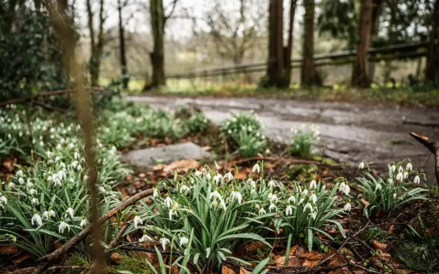 West Down Farm - B&B