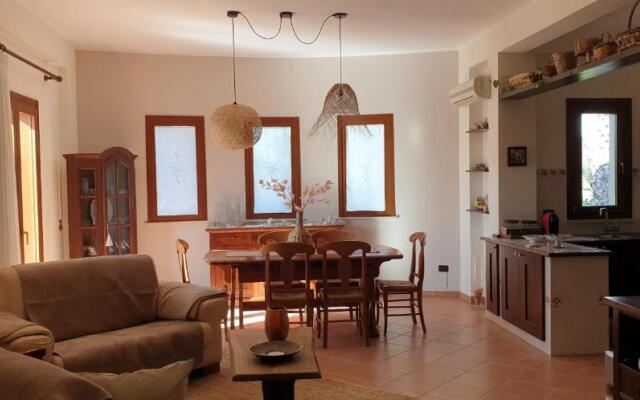 Bellona 319