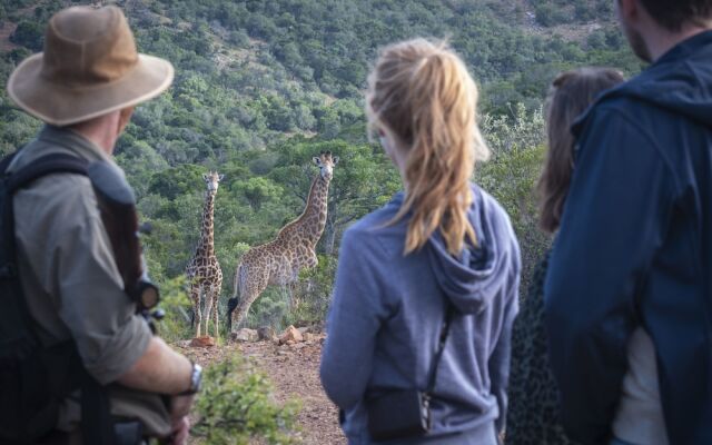 Elephants Lodge - Bellevue Forest Reserve