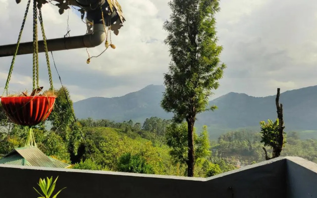 Munnar valley view