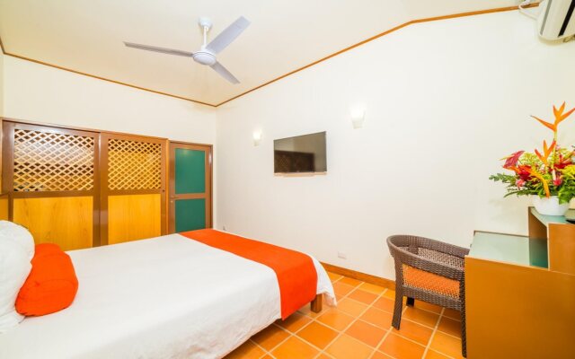 Hotel Palma de Oro
