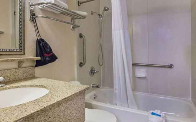 Tampa Waterfront 33183