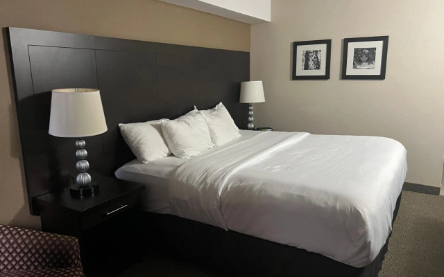 Comfort Inn