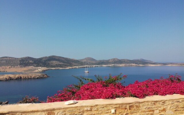 Antiparos Vibes