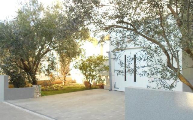 Apartment and Room Doda