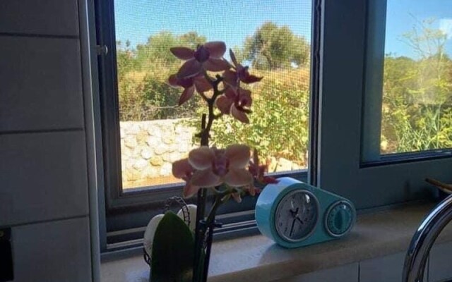 Vivas Apartment