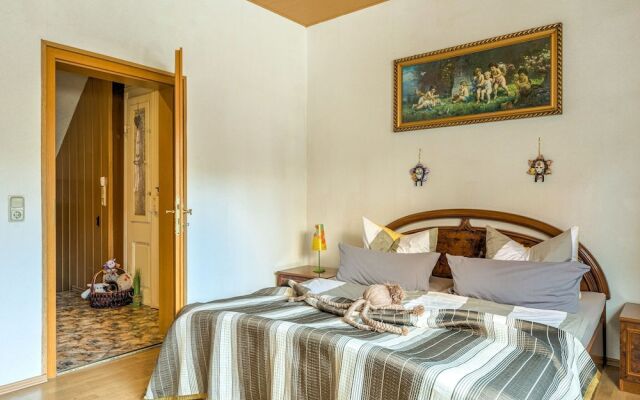 Lovely Apartment in Ilsenburg Harz near Ski Area