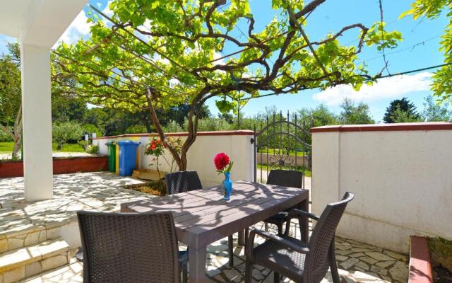 Apartment Branko 2081