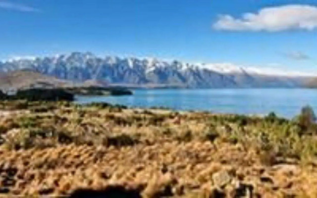Platinum Queenstown Villas