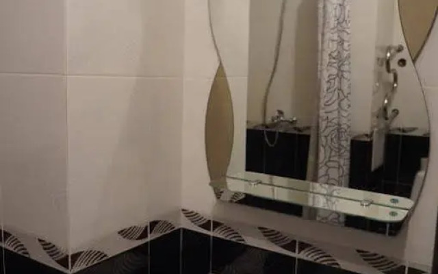 Solo Apartment Kamenskaya