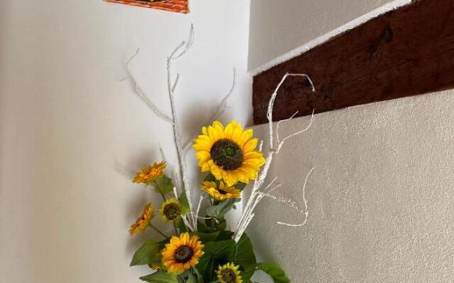 LAGUNA BLU Camera SOLE con terrazza panoramica in comune