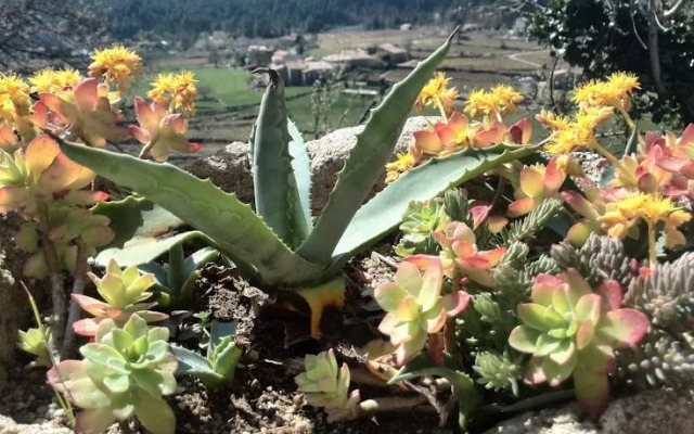 Maison Vierthaler en bas