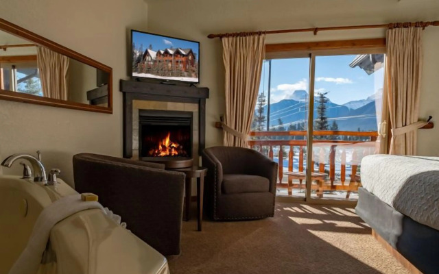 A Bear and Bison Inn