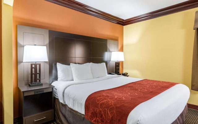 Comfort Suites Lake Jackson Clute