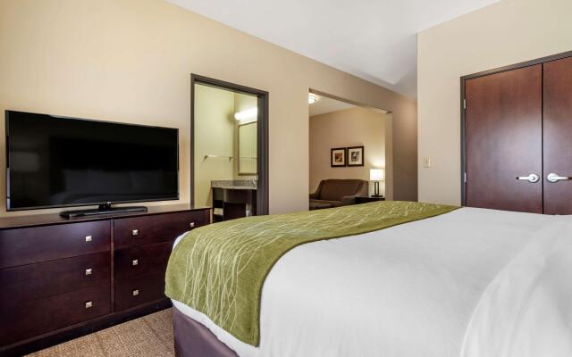 Comfort Inn & Suites Scott-West Lafayette