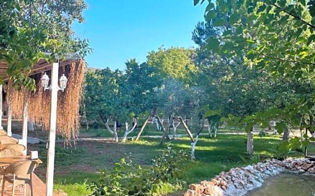 Olympos Paradi̇se Hotel