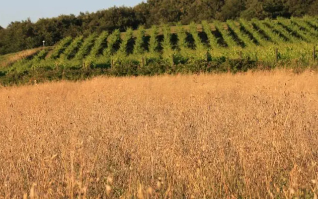Borgo di Toiano Country Holidays