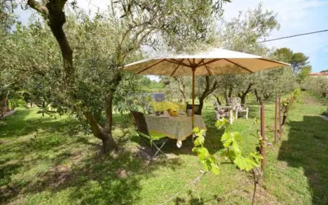 Le Cabanon de l'olivette