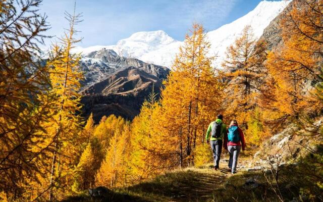 3-Schlafzimmer Chalet Eichhorn****, Saas Fee 1800m