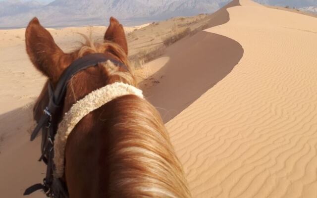 Seven Wonders Luxury Camp
