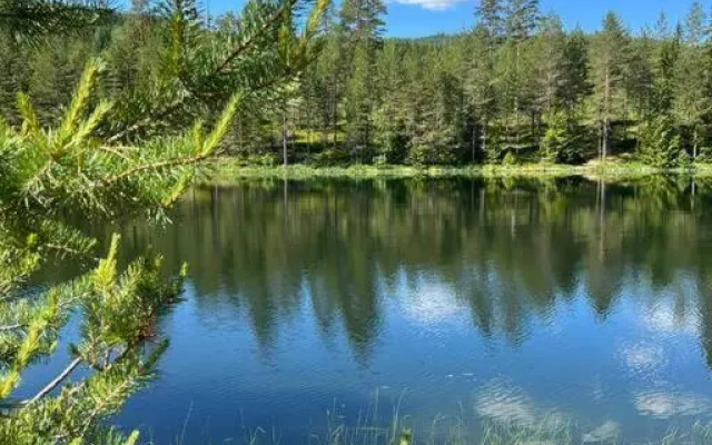 Tretoppen - Ny moderne hytte, Unike Finnskogen