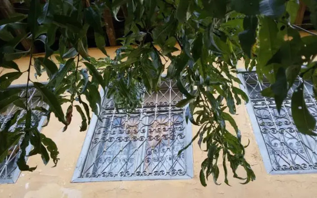 Guest House City Shkodra