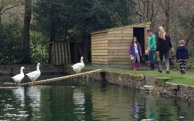 The Mill House at Cwmiar Farm - Relaxing Holidays