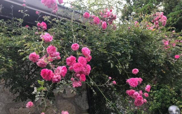 Country House Paola