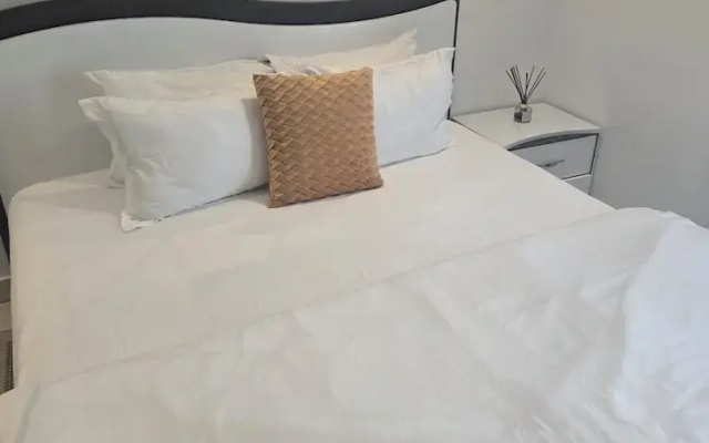 premier luxury apartment