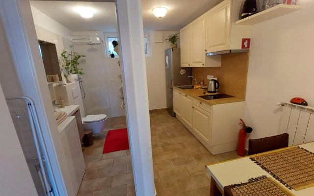 Pri piratski mački - At the pirate cat - Dal gatto pirata