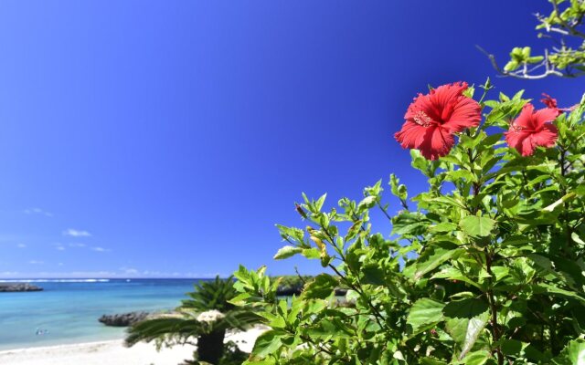 Hot Cross Point SANTA MONICA