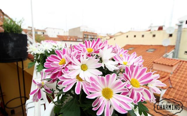 Charming Oasis in the Centre of Madrid