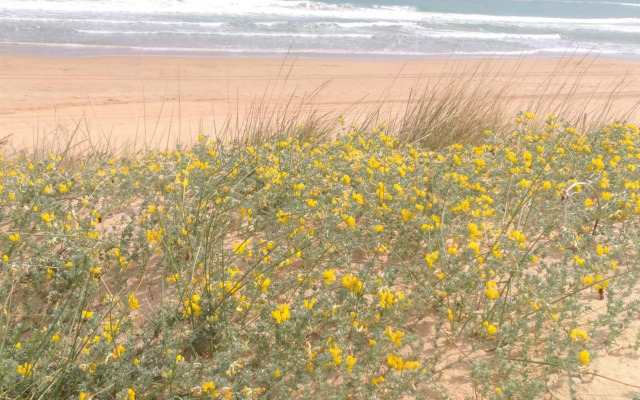 Residencial OlivalAcceso privado playa por jardín