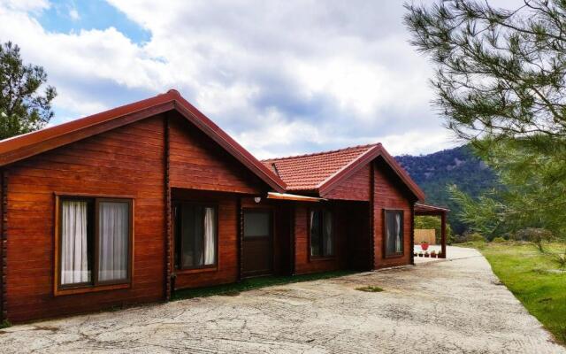 The Cosy Mountain Cabin with Stunning Views near Troodos