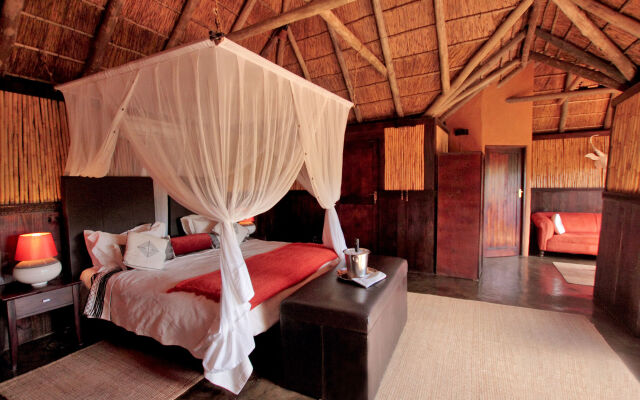 Safari Lodge - Amakhala Game Reserve