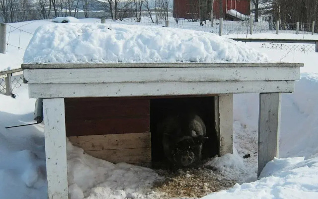 Three-Bedroom Holiday Home in Hamnvik 1