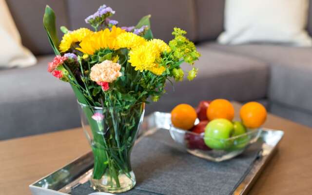 Modern Apartment by Wawel Castle