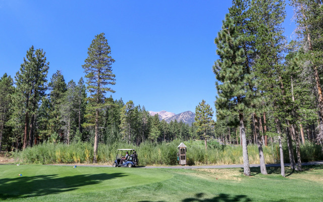 Sunshine Village #158