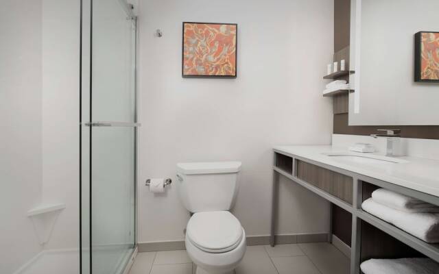 Hilton Garden Inn Columbia Airport (ex Holiday Inn & Suites Columbia-Airport)