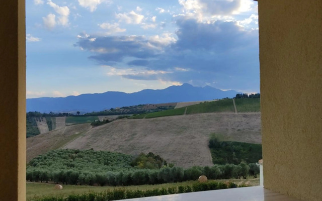 Agriturismo Terra dei Falchi