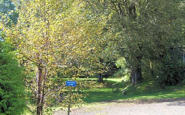Cosy Rowan woodland lodge no3