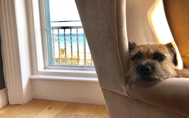 seaspray bed and breakfast