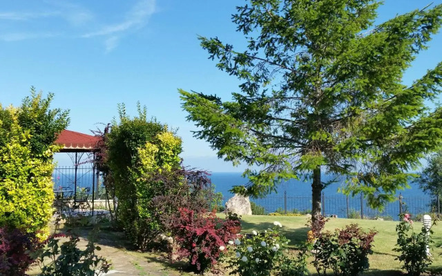 Rest house MIP