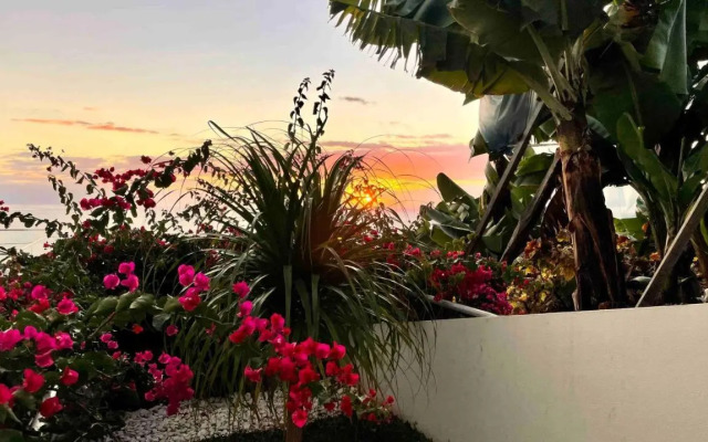 Holiday Apartment Ocean View