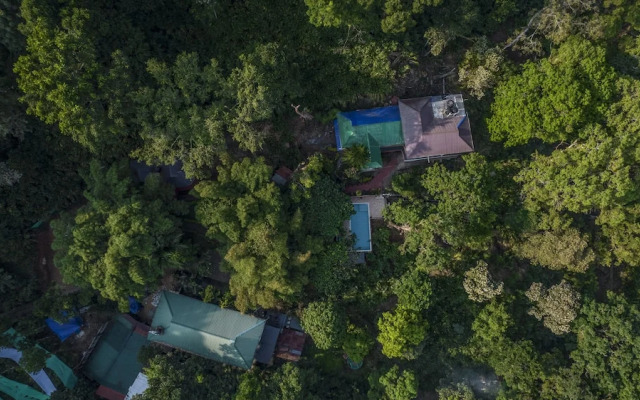 Spice Jungle Resort